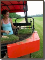 Stacking Fescue on the Sod Harvester
